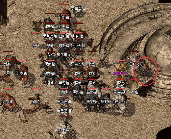 优先将金币用于晋级技能如战士的‘